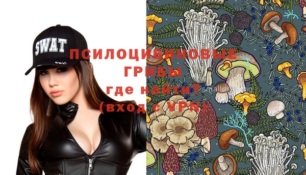 твердый Белоозёрский