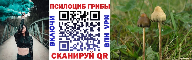 Псилоцибиновые грибы прущие грибы  Палласовка 